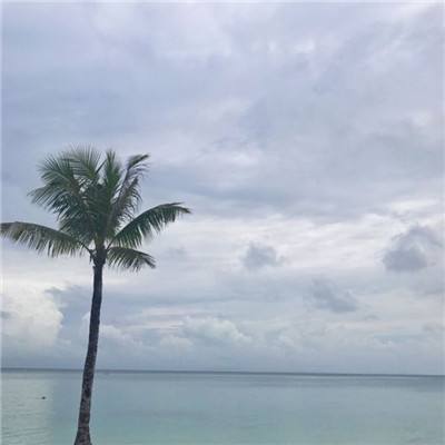 色彩暴击破解版下载